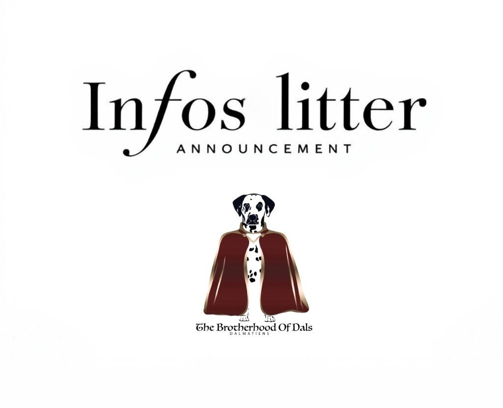 INFOS PORTÉE 2027